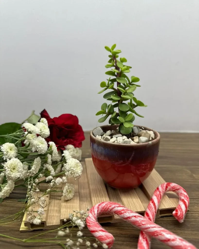 artificial green potted plants