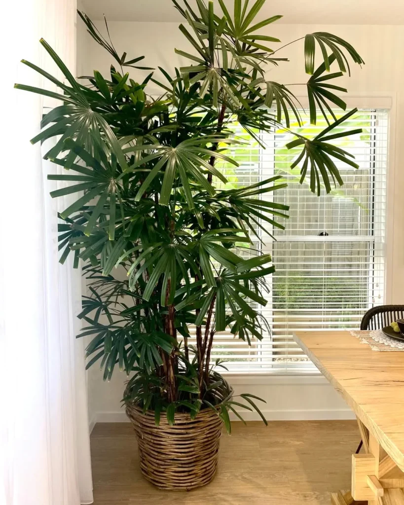 artificial palm plant