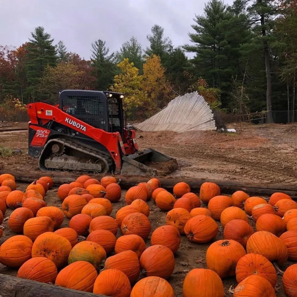 autumn glow pumpkin patch