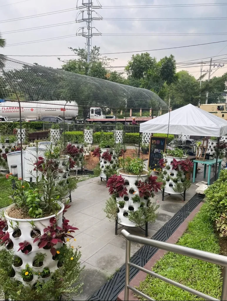 down to earth farm store and cafe garden small spaces