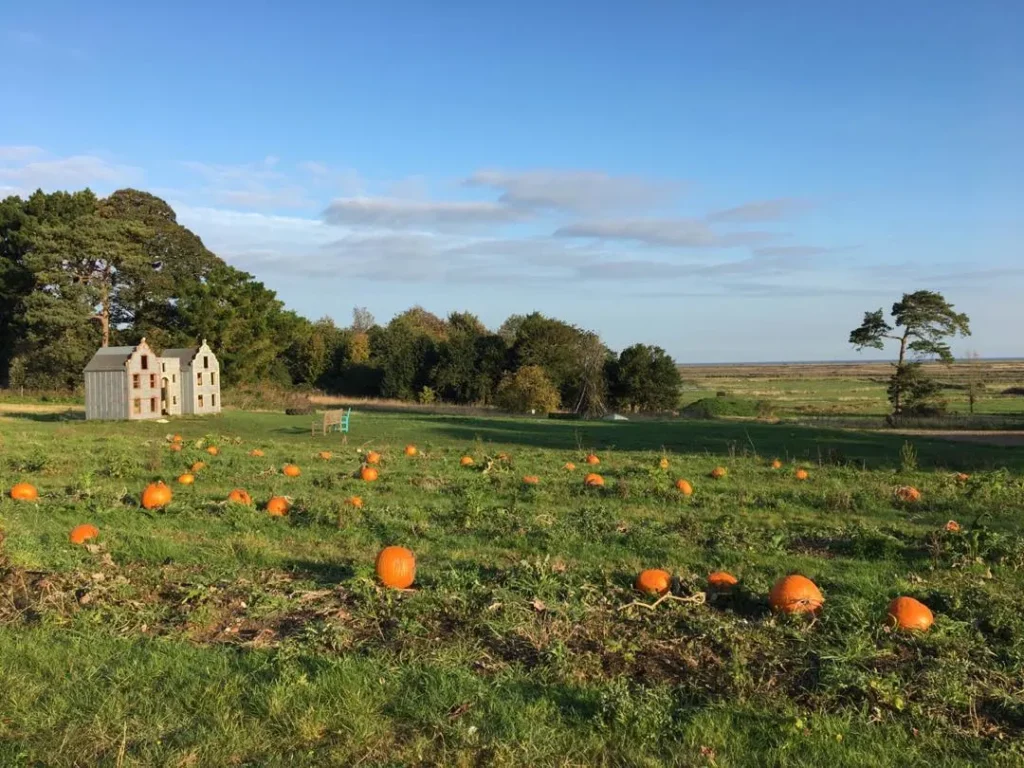 golden pumpkin retreat