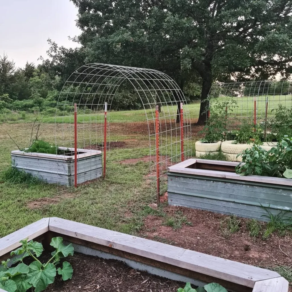 leaf acres pumpkin garden