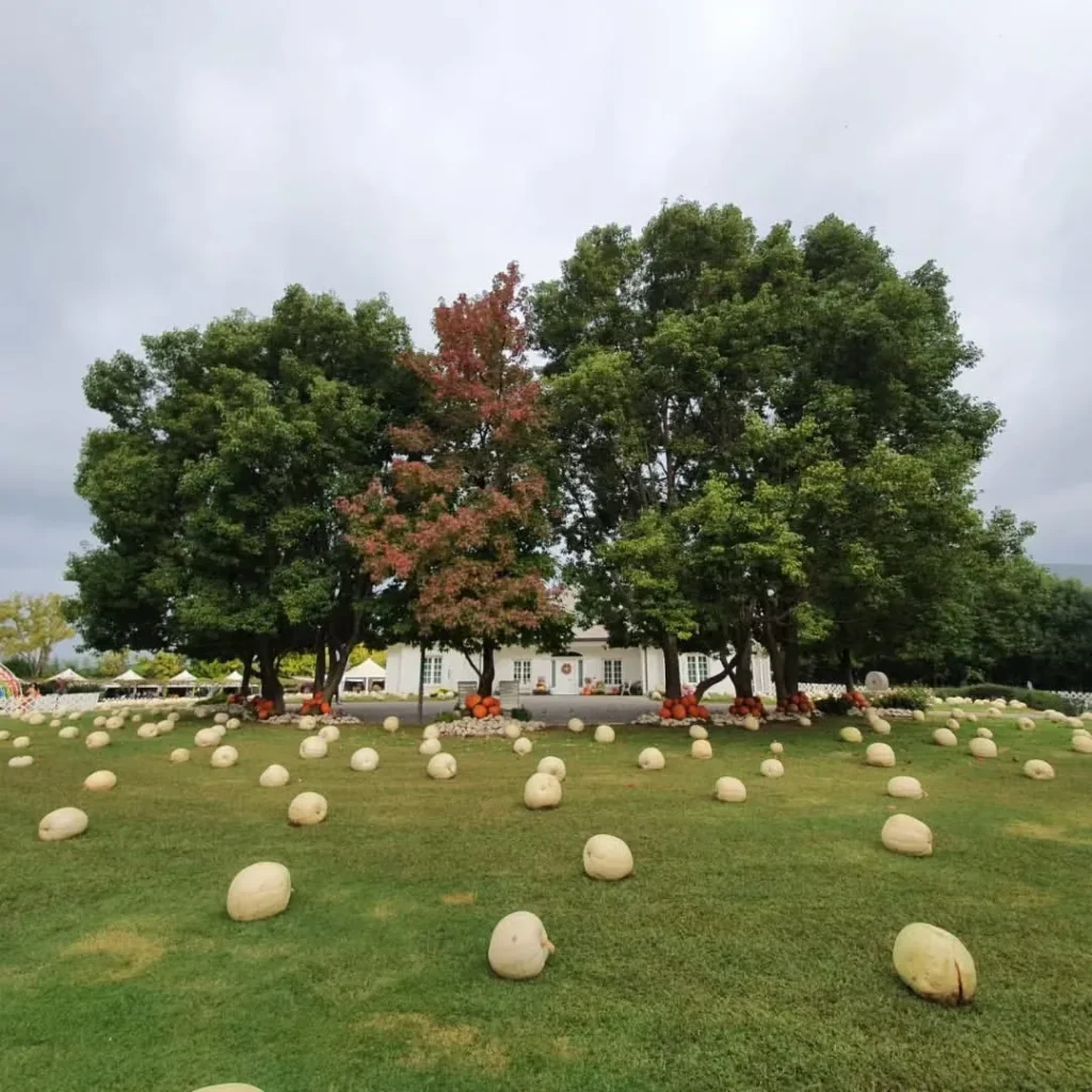 pumpkin nook gareden