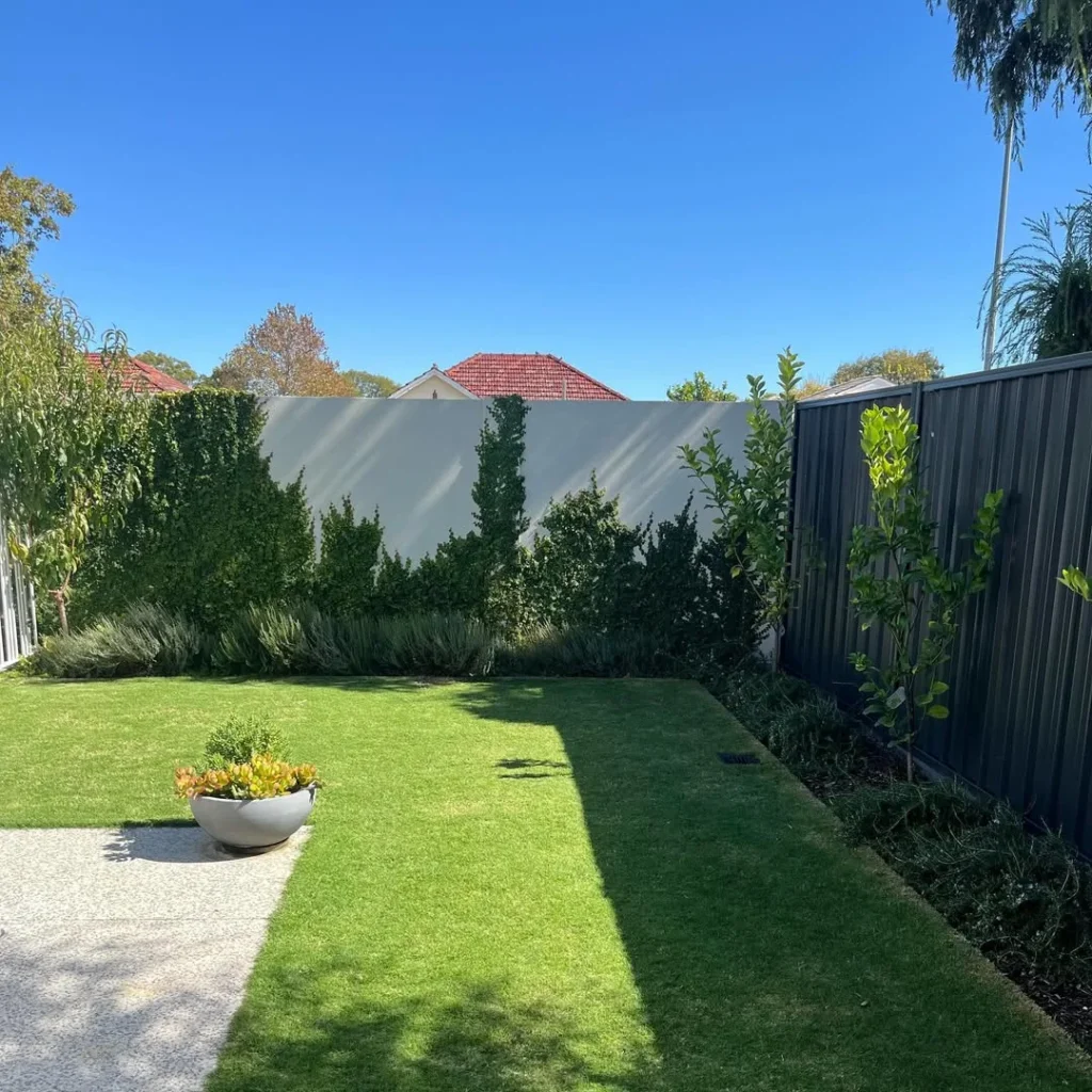 small spaces fence plant