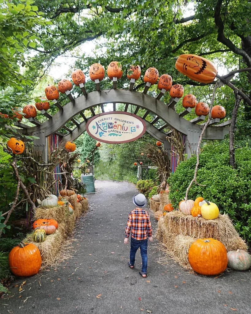 whimsical vine garden