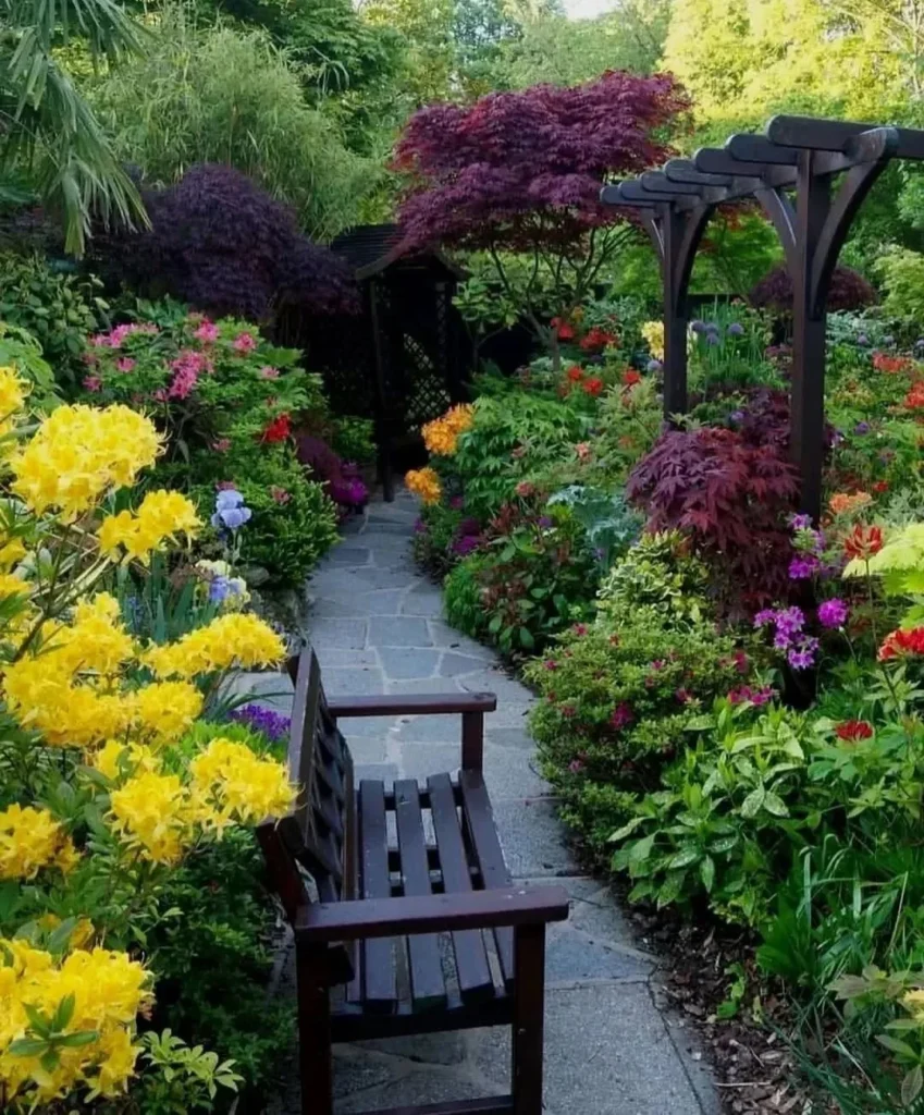 colorful leaves garden ideas