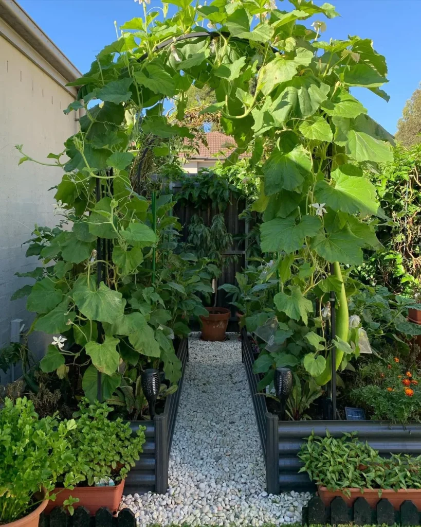 grow secret garden ideas