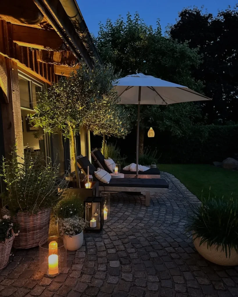 midnight backyard garden