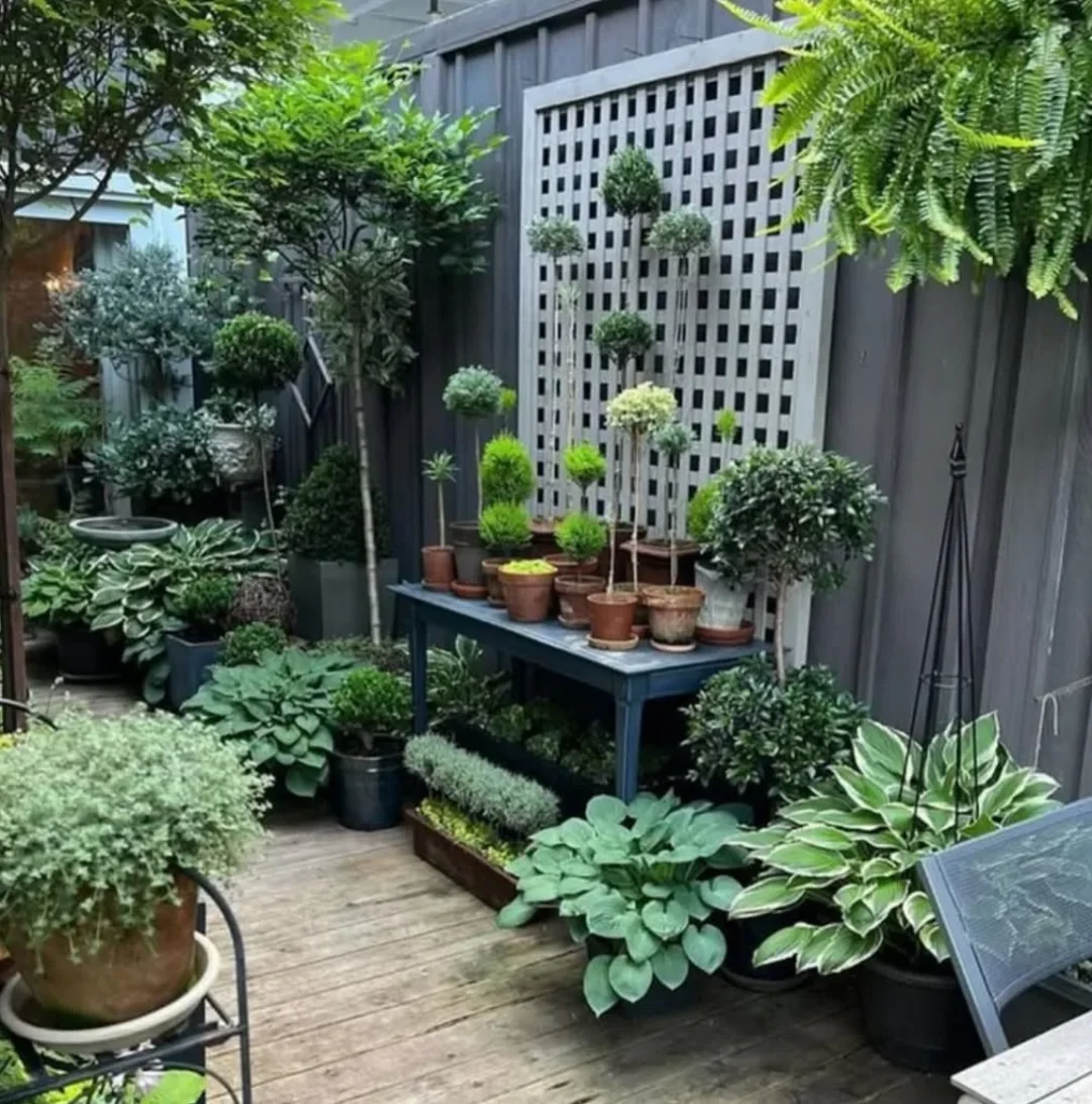 plants in pots garden