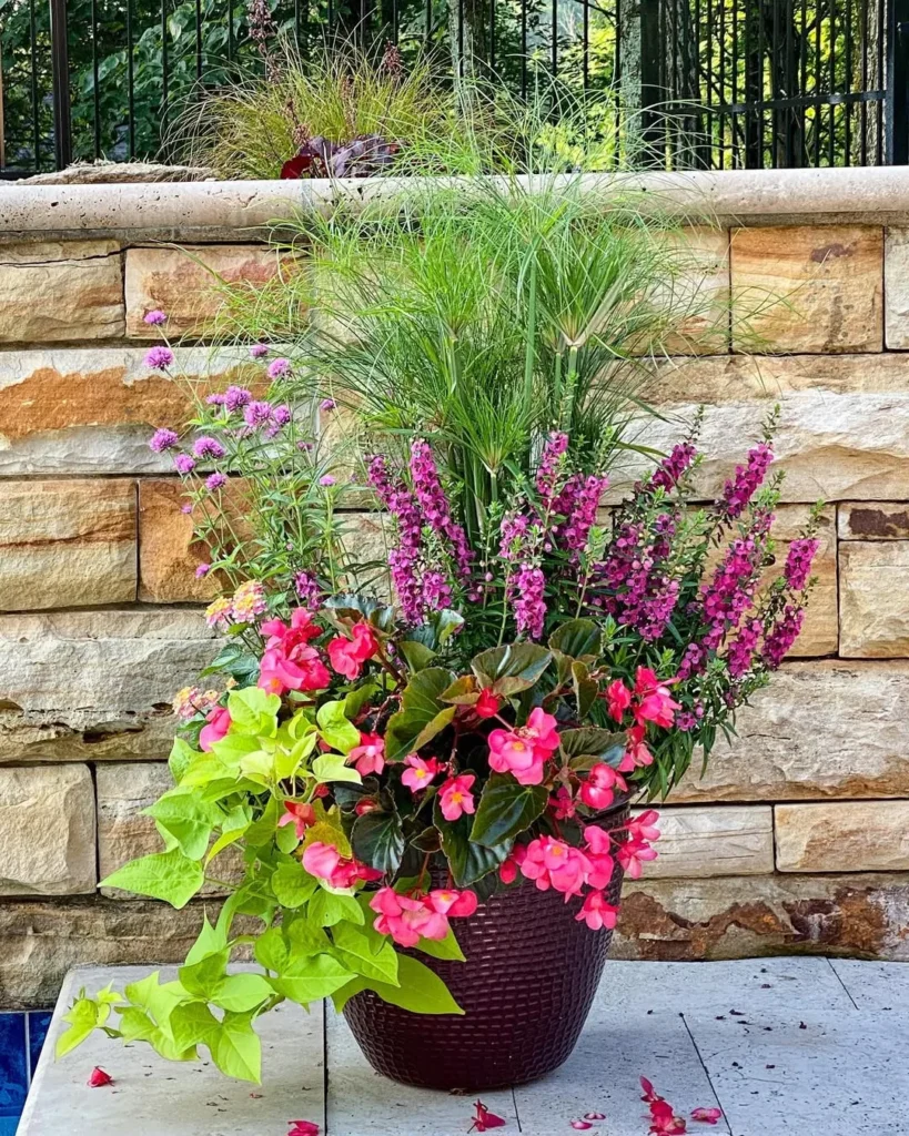 stonewalls flower pots