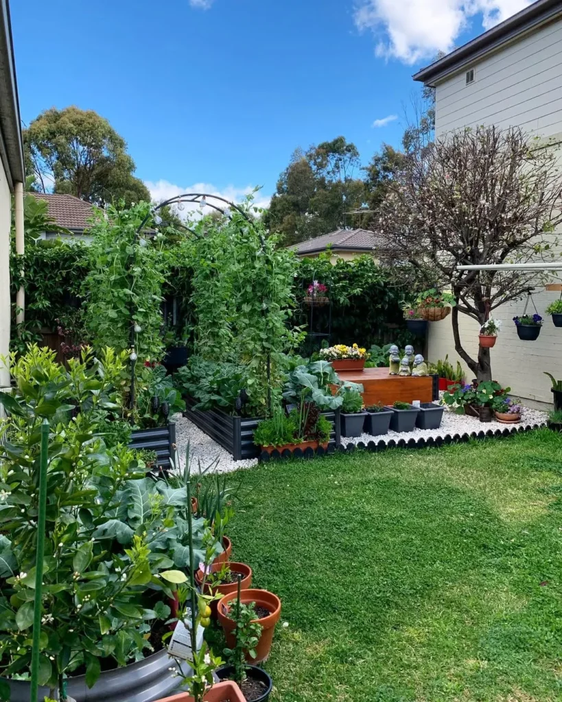 trellis garden ideas