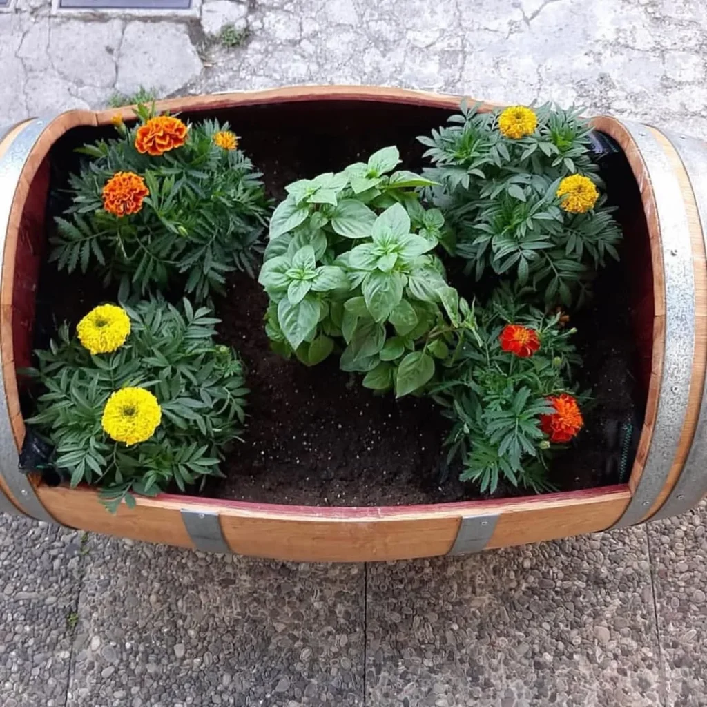 wine barrel flower pots