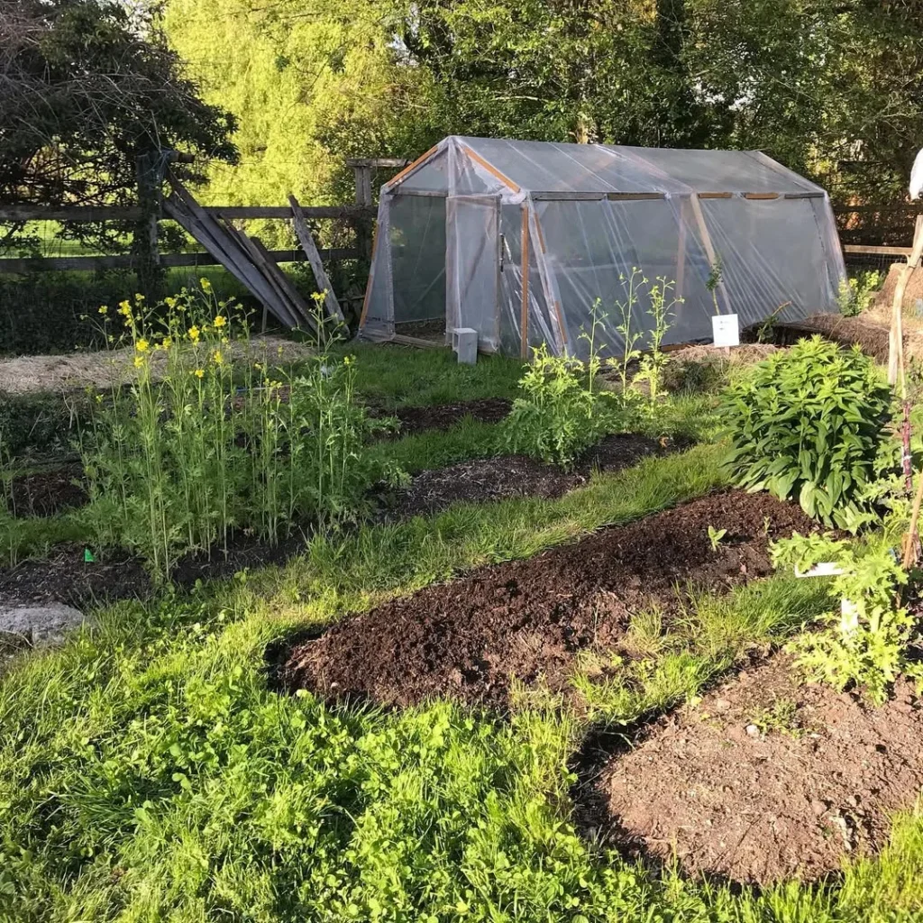 depicts a garden with a greenhouse and various plants