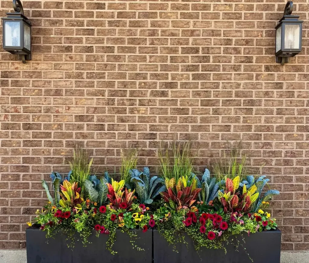 black rectangular planters