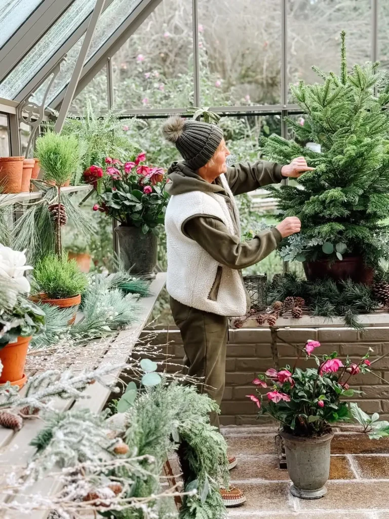 christmas tree greenhouse