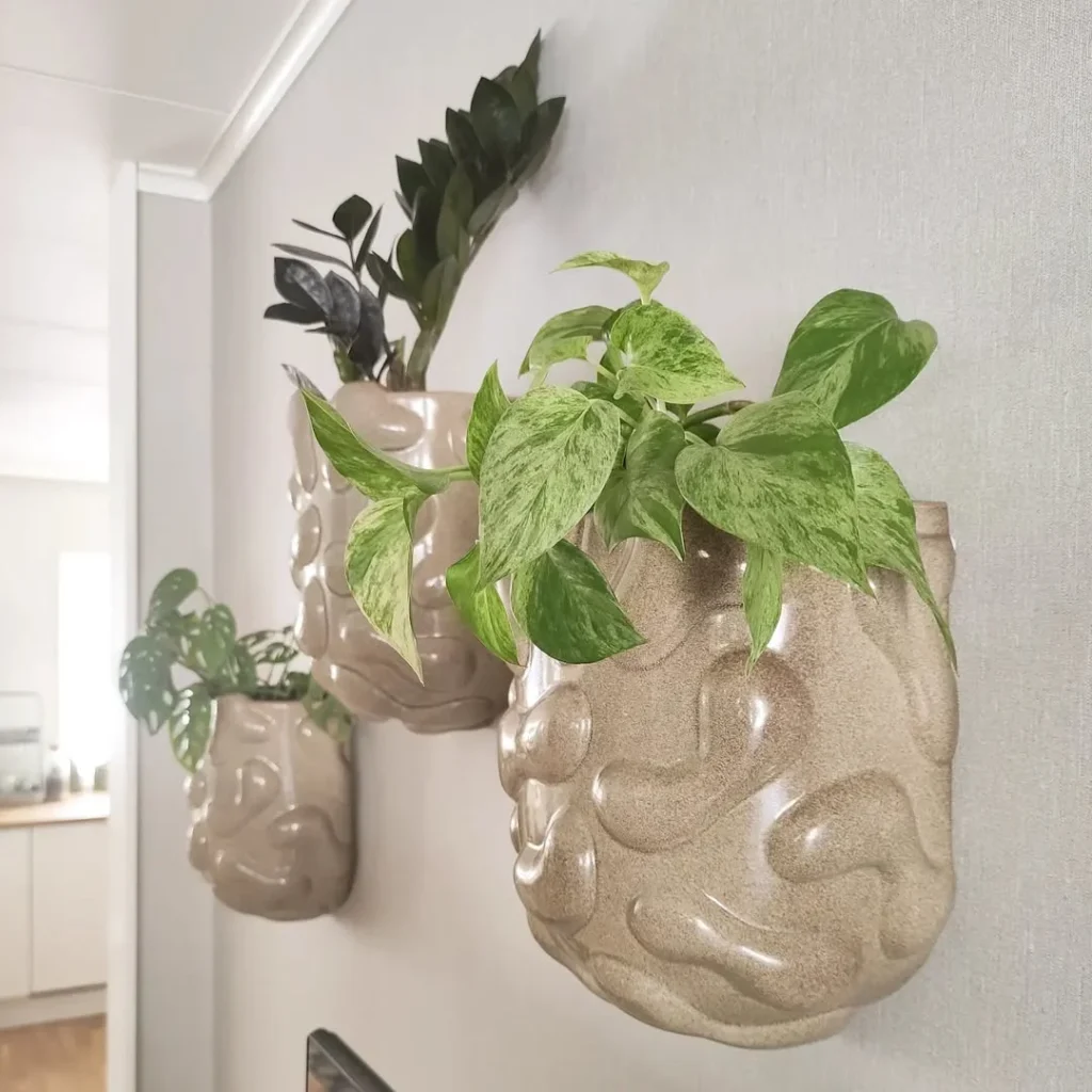 green money plant wall decor