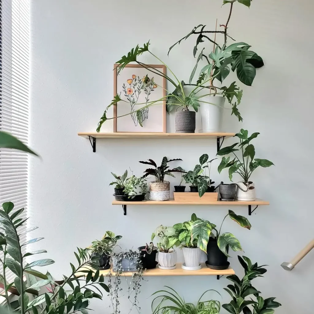 monstera plant wall decor