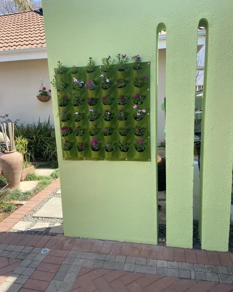 portulaca wall decor plant
