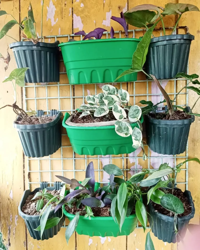 purple heart plant wall decor