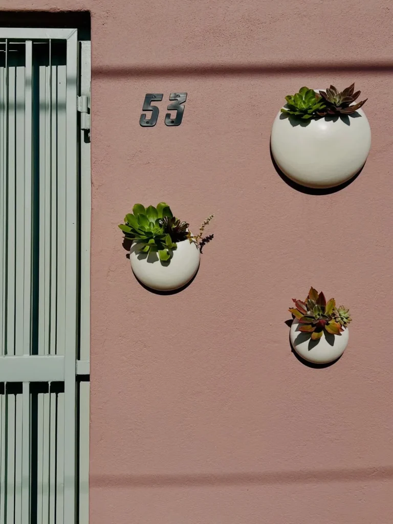 succulents wall decor