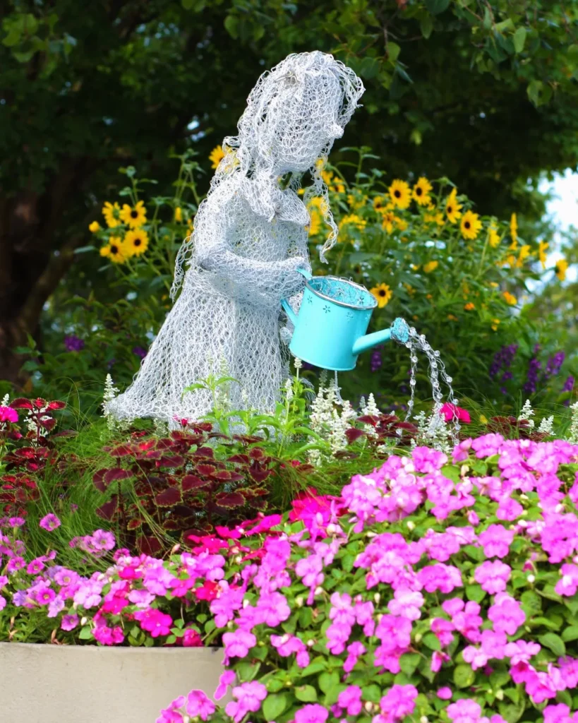 sunflower flower garden