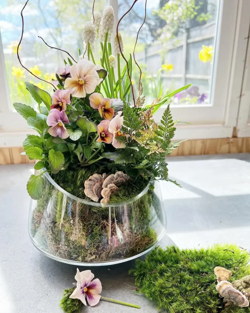 terrarium glass plant