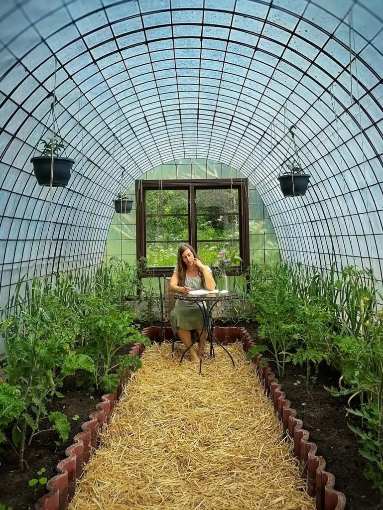 broccoli, cabbage, and cauliflower greenhouse