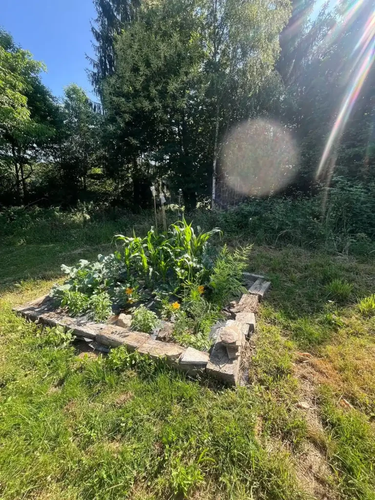 flower bed garden cheap