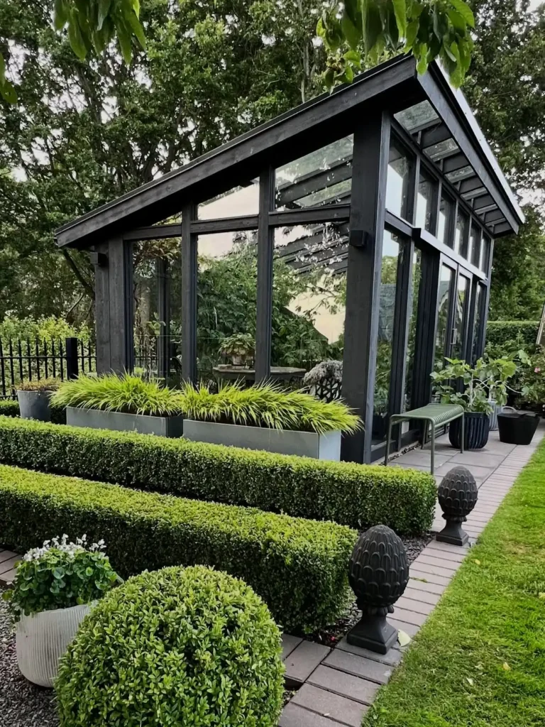 glossy leaves greenhouse