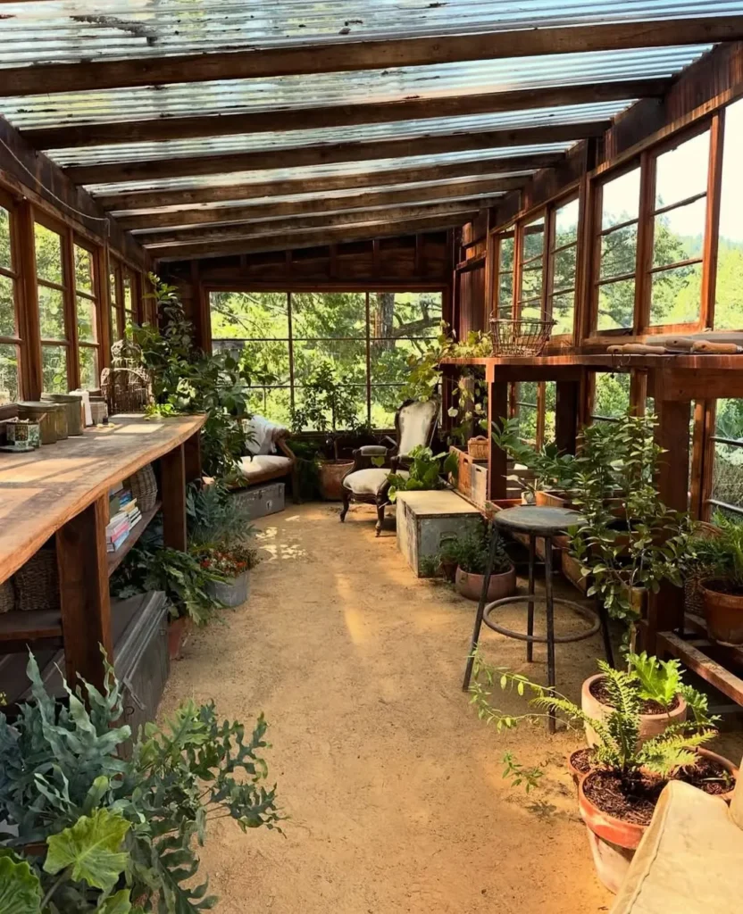 leafy green plants greenhouse