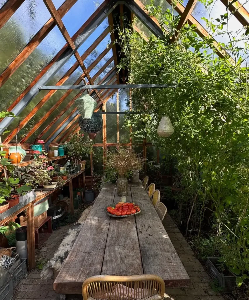 ornamental grass greenhouse