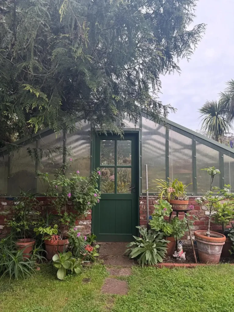 pink flower greenhouse