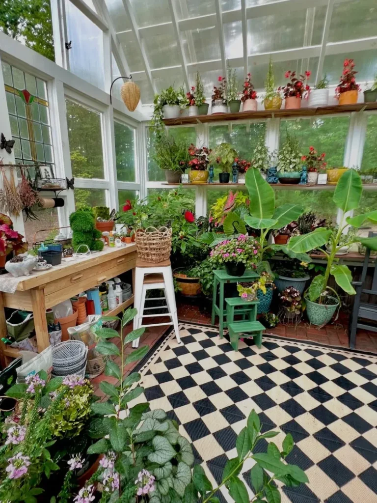 potted plants and flowers greenhouse
