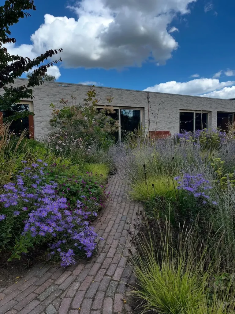 purple flower garden cheap