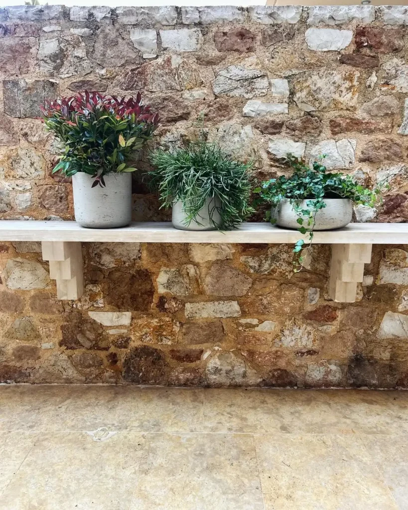 hedera helix plant pots