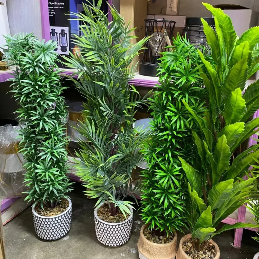 bamboo palm plant pots