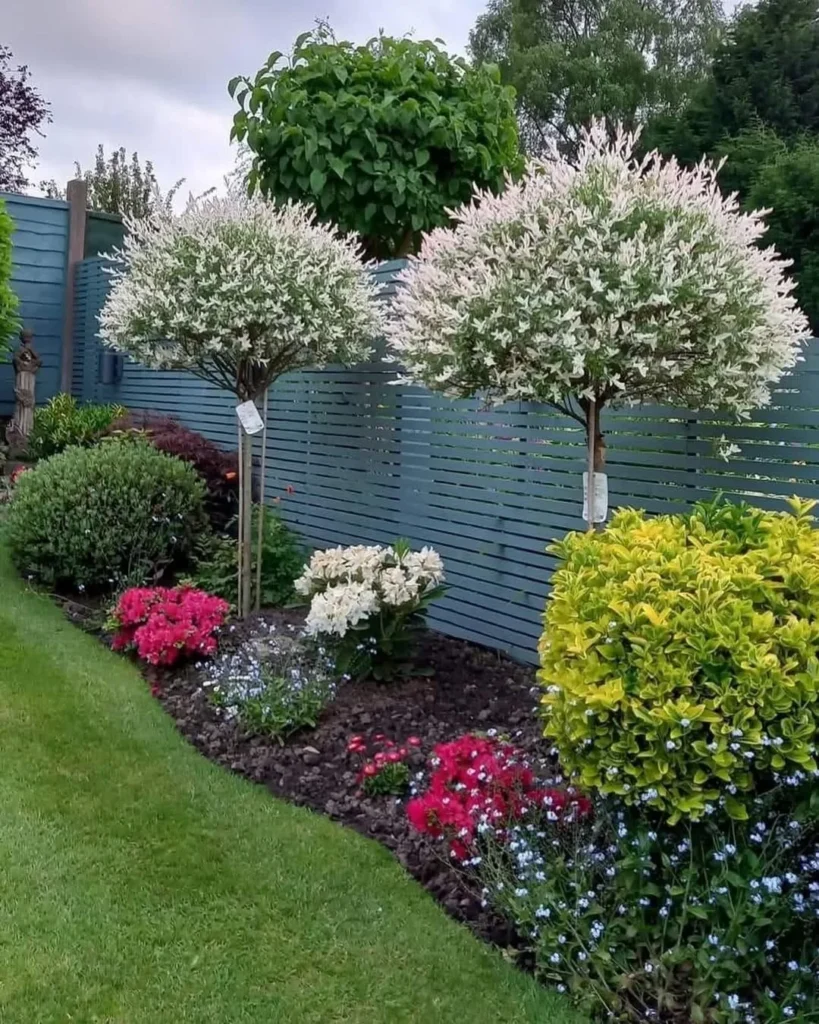 beautiful green fence line landscaping ideas