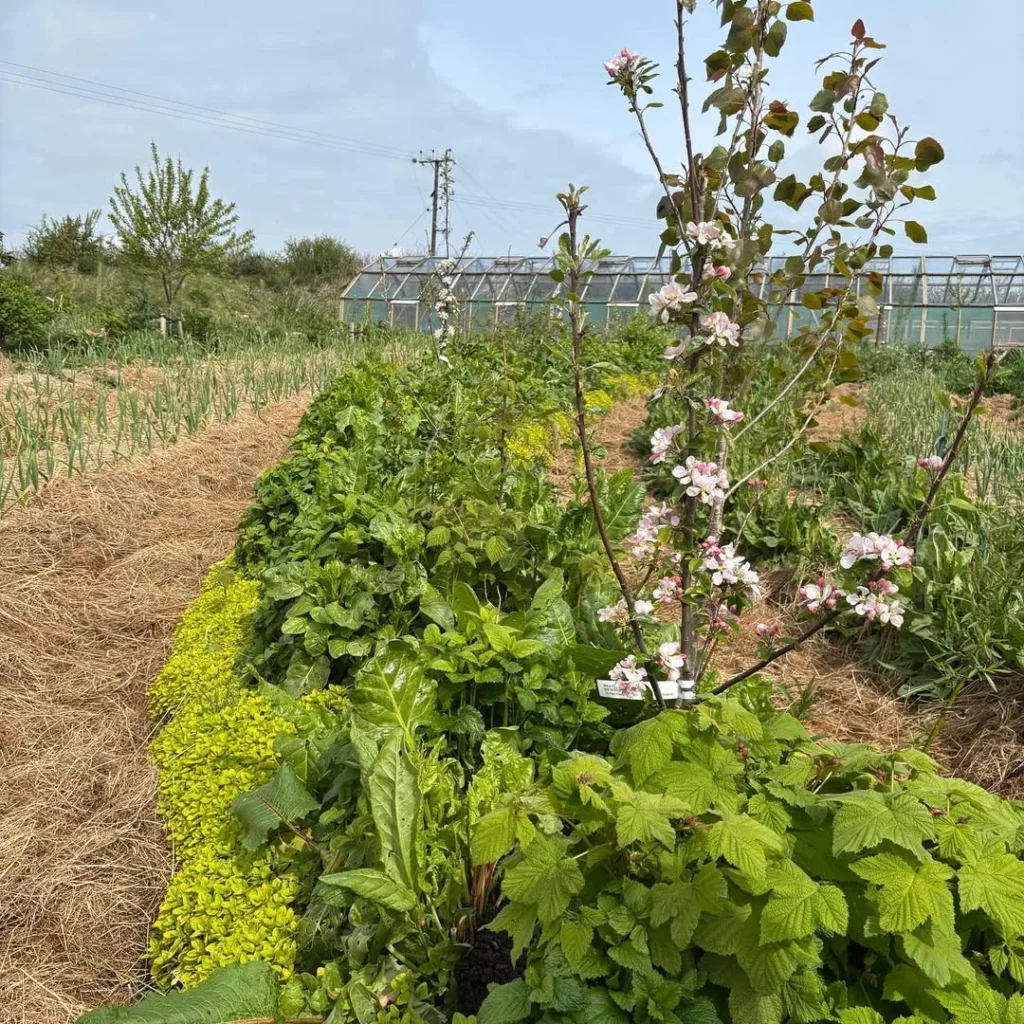 birch farm permaculture