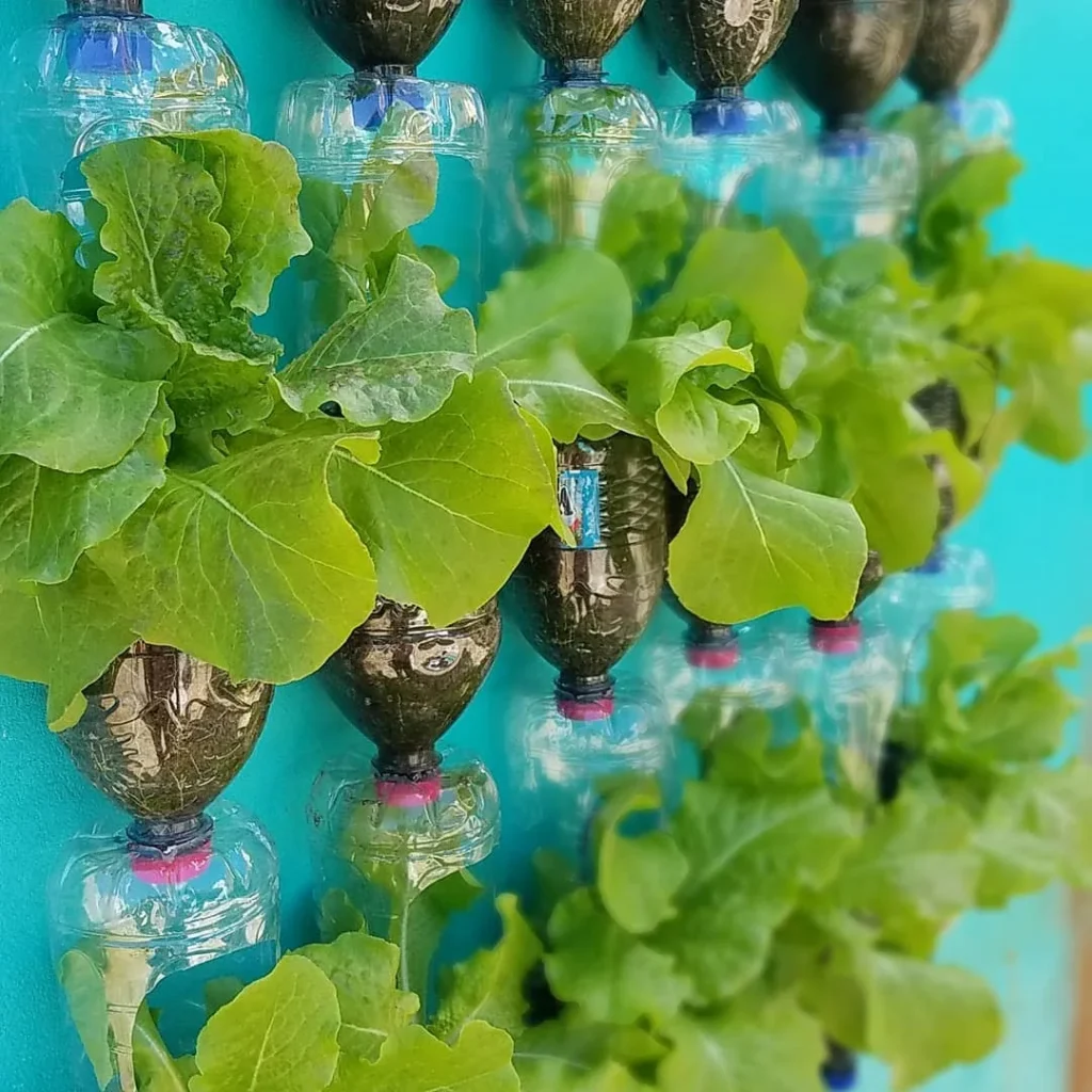 bottle garden ideas
