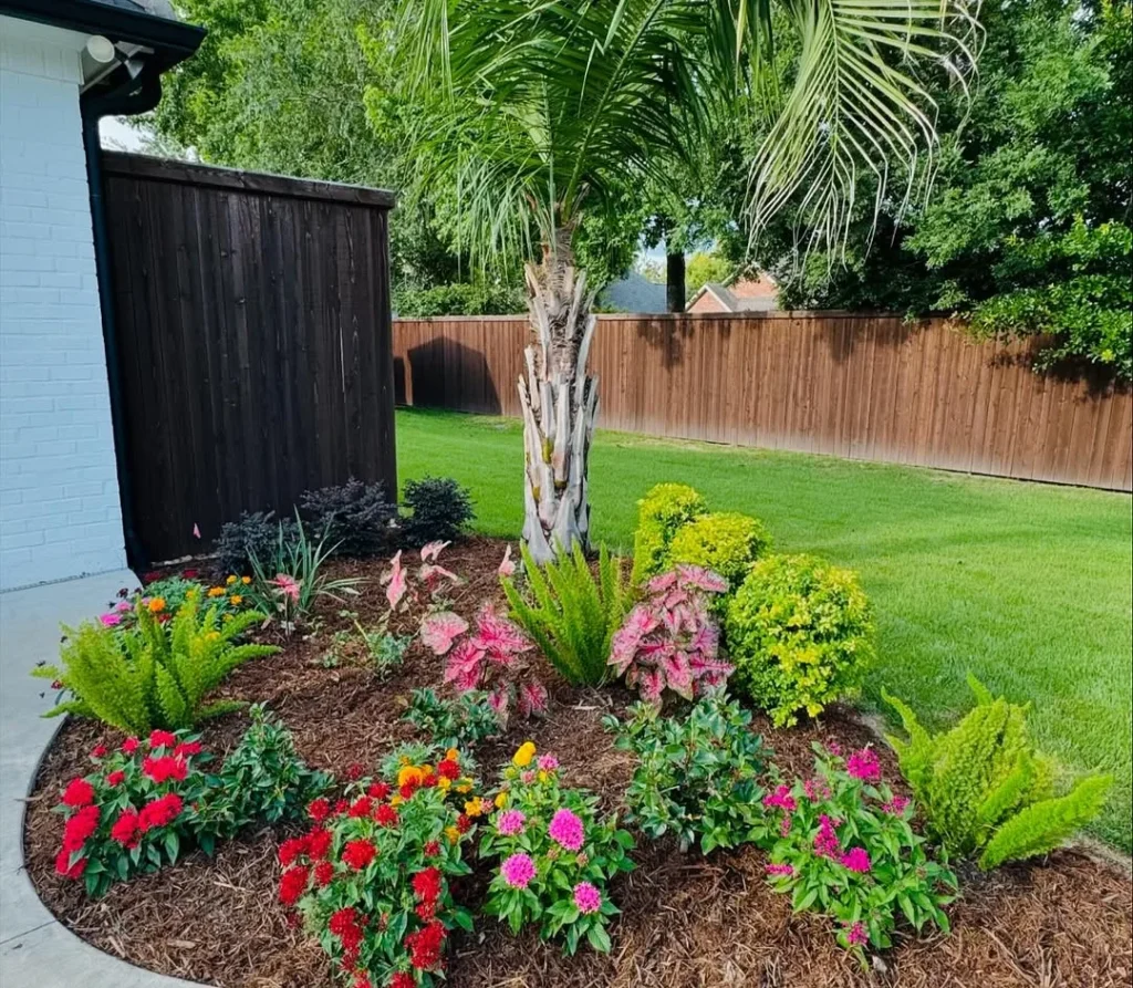 colorful backyard landscaping