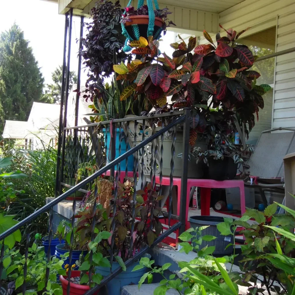 container front porch garden (1)