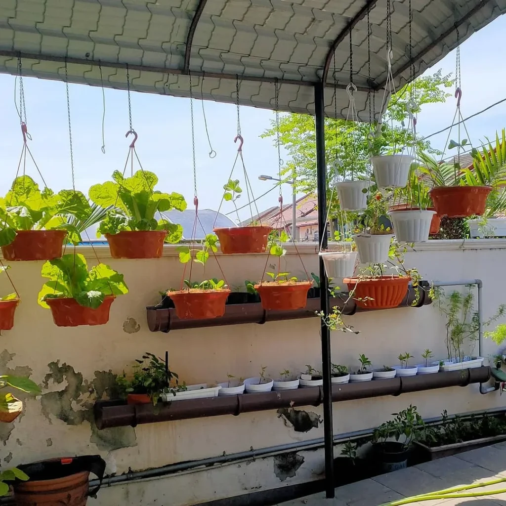 containers on the floor front porch garden