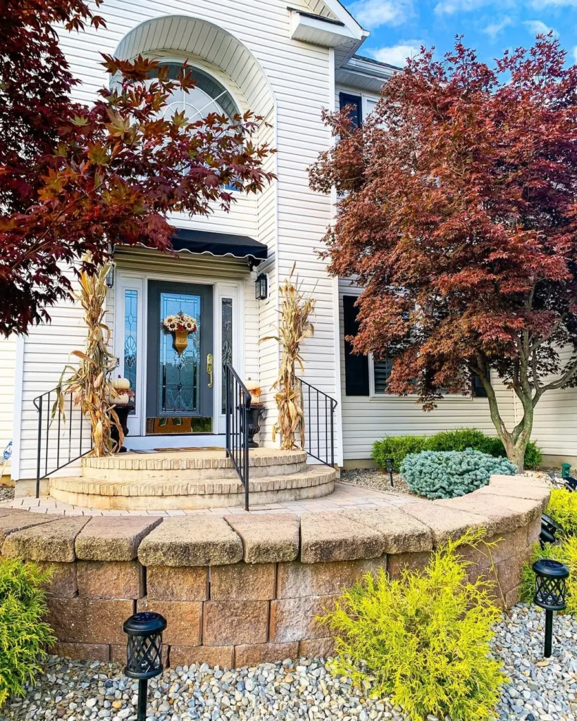 cornstalks and pumpkin topiaries are all set up