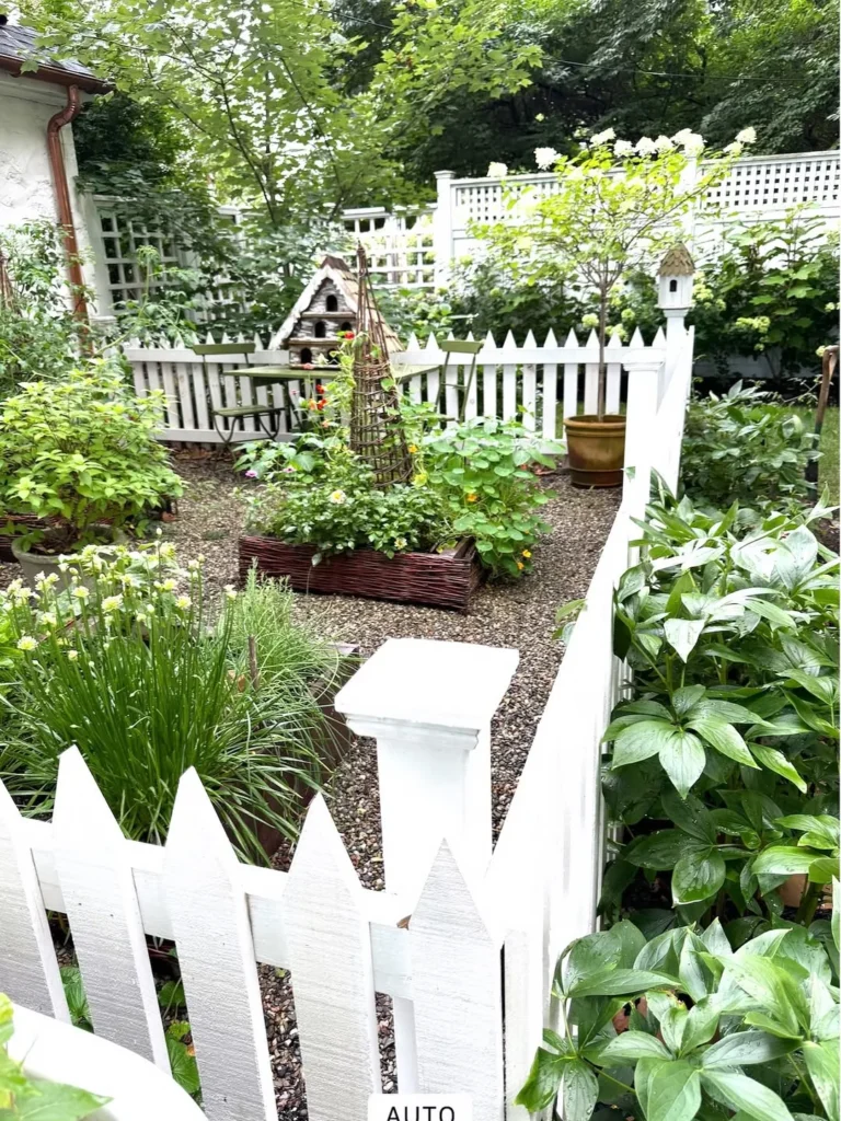 cottage style fence plant