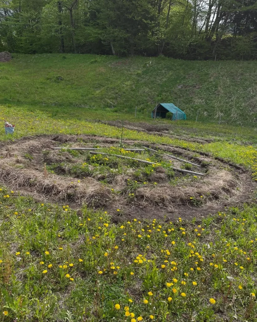 daily life more natural and environmentally sustainable permaculture