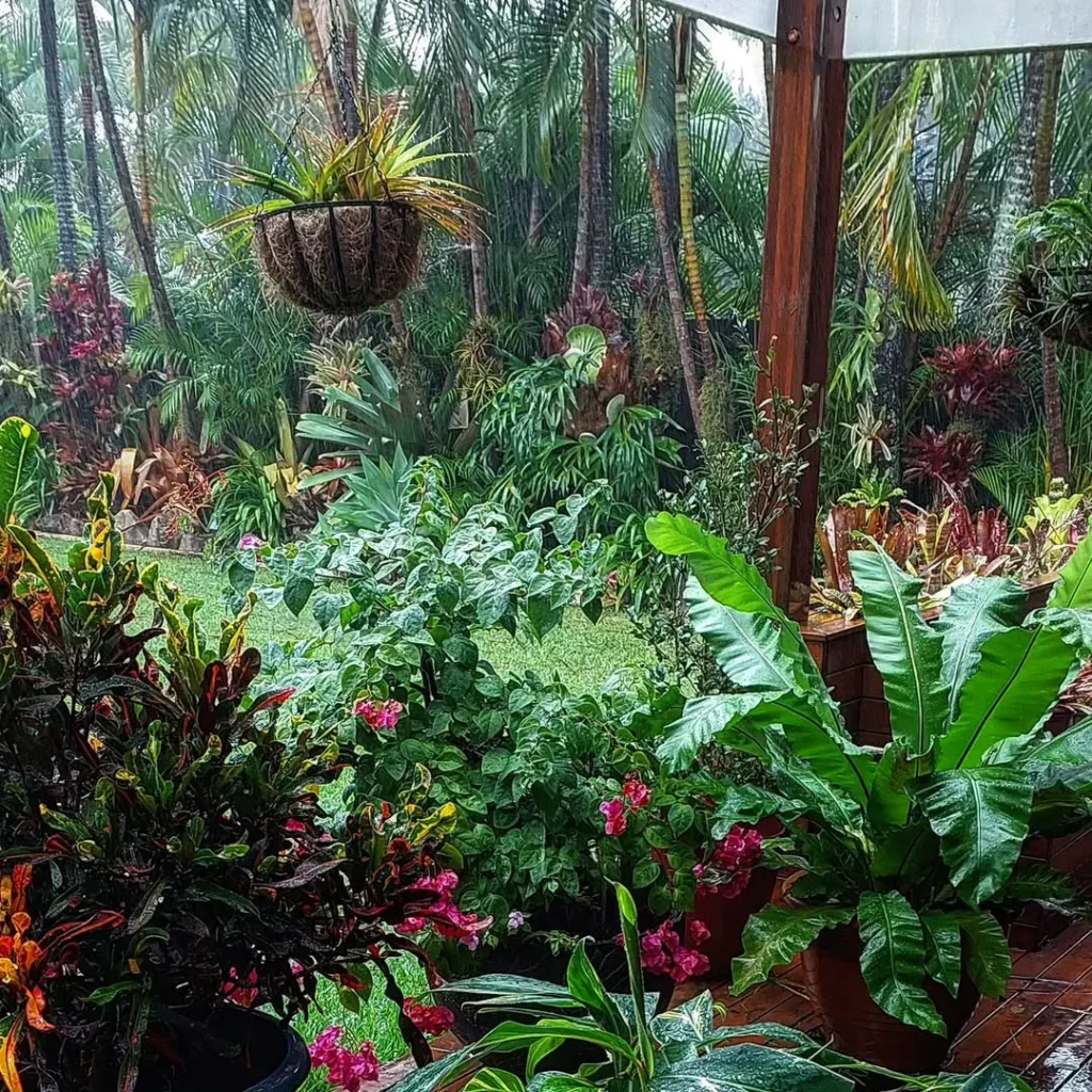 easy care outdoor plants in pots perfect for beginners and busy gardeners