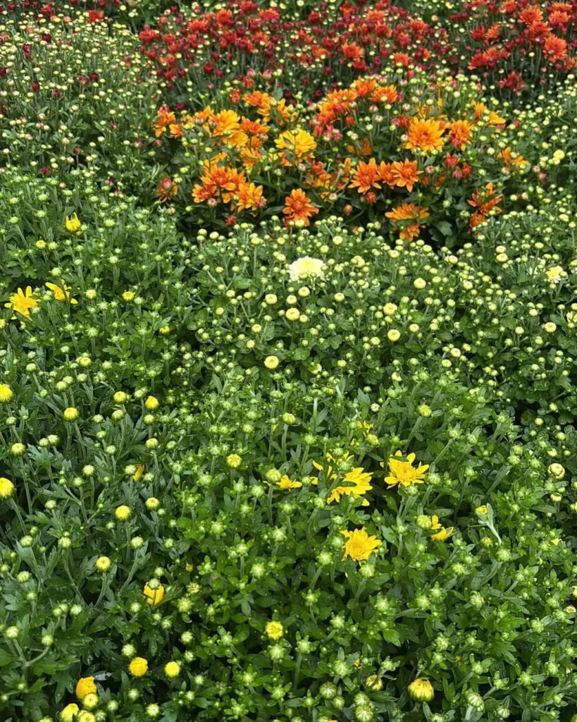 enjoy the decor on your porch