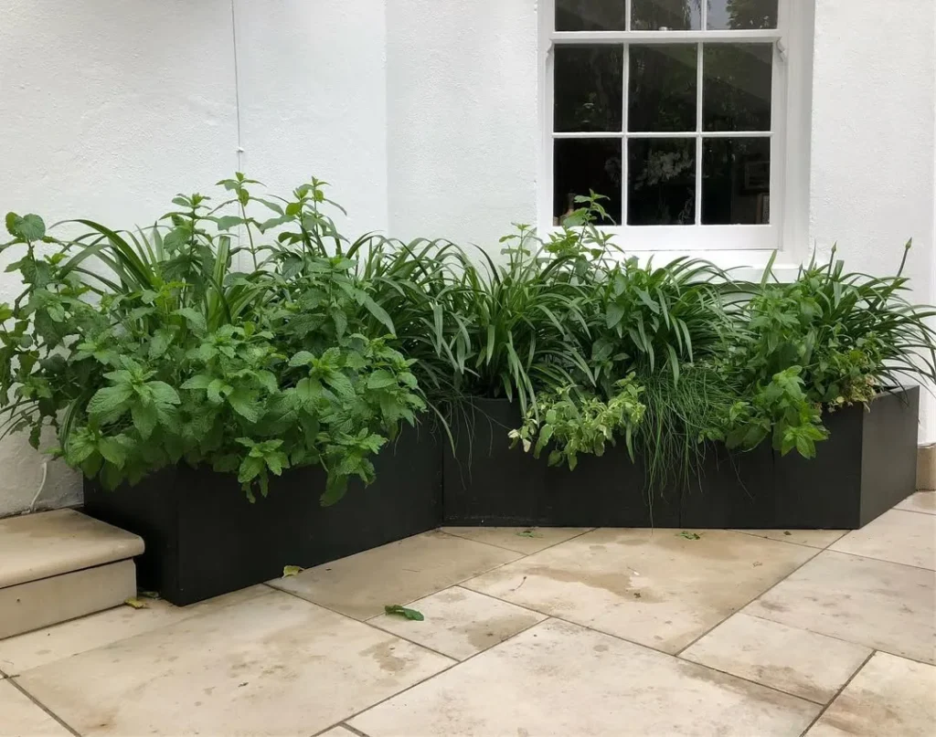 euro planters outdoor plants in pots