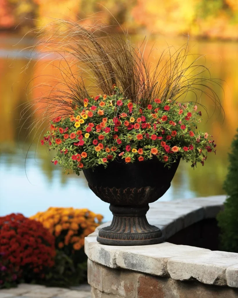 fall container gardens