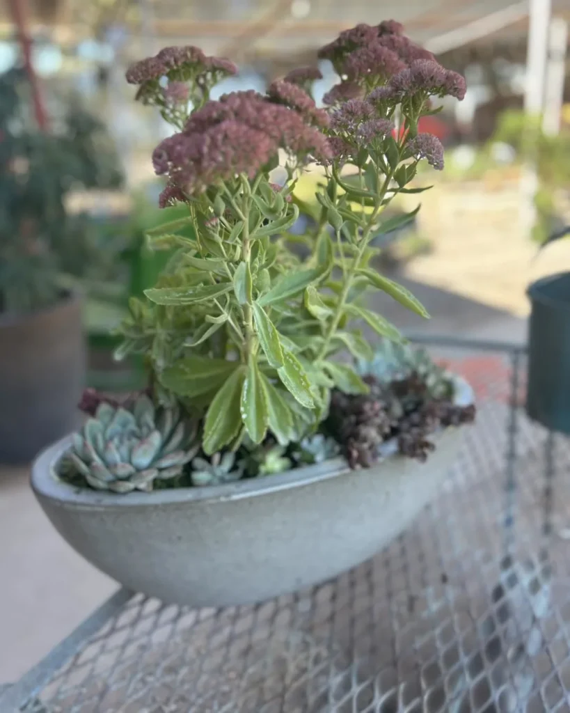 fall porch pots
